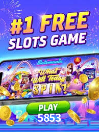 Flash Promotion 5853